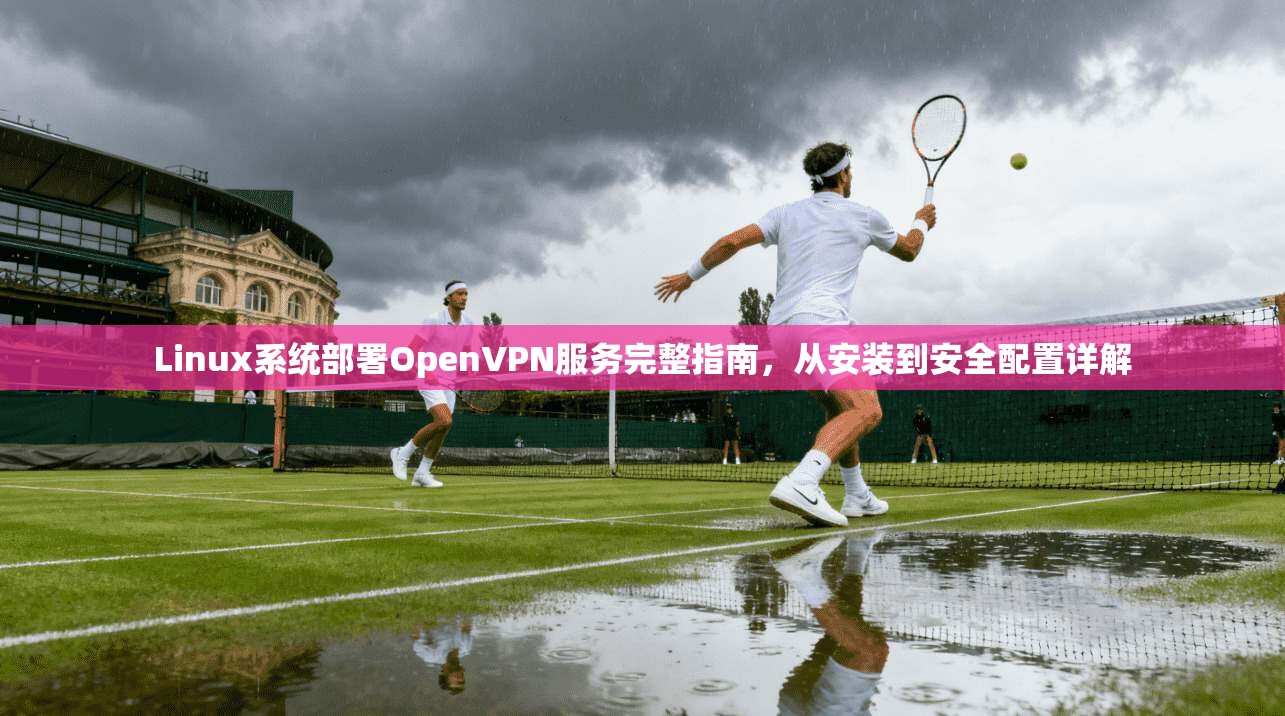 Linux系统部署OpenVPN服务完整指南,从安装到安全配置详解 第1张 Linux系统部署OpenVPN服务完整指南,从安装到安全配置详解 第1张
