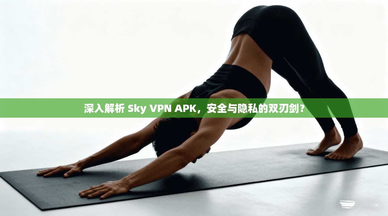 深入解析 Sky VPN APK，安全与隐私的双刃剑？  第1张