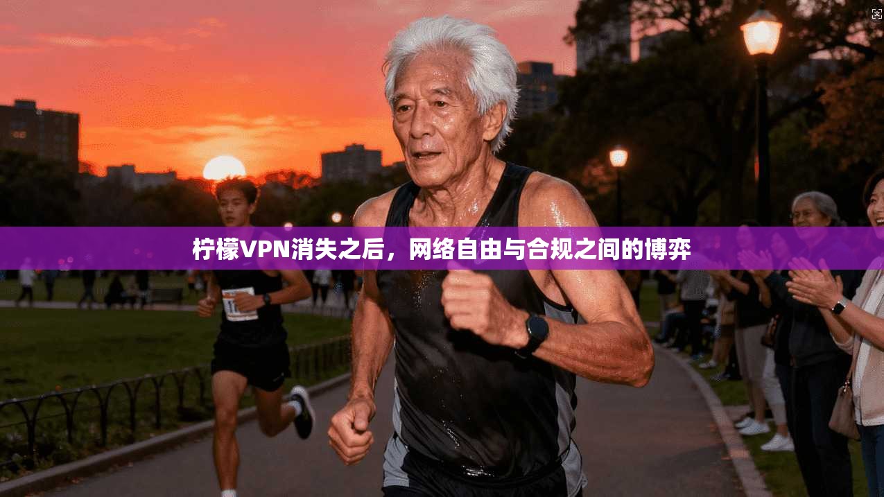 柠檬VPN消失之后,网络自由与合规之间的博弈 第1张 柠檬VPN消失之后,网络自由与合规之间的博弈 第1张