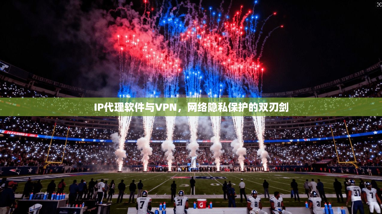 IP代理软件与VPN,网络隐私保护的双刃剑 第1张 IP代理软件与VPN,网络隐私保护的双刃剑 第1张
