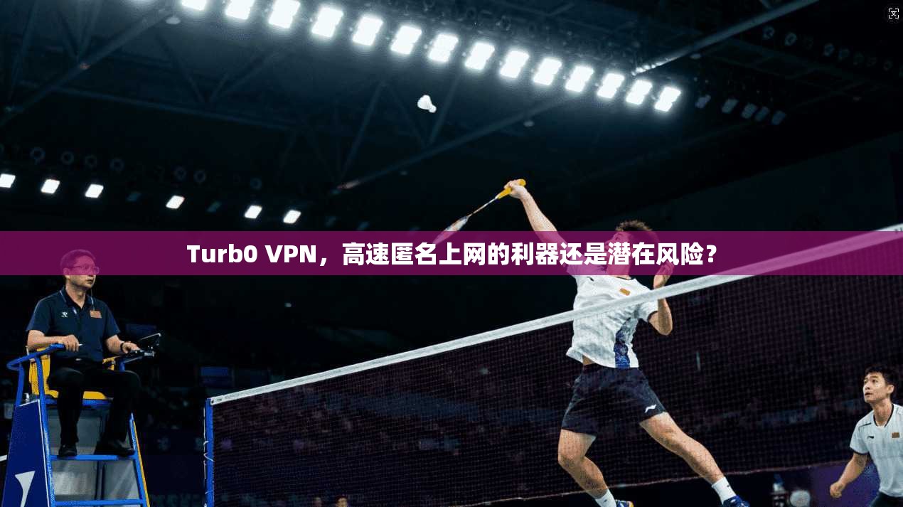 Turb0 VPN，高速匿名上网的利器还是潜在风险？  第1张