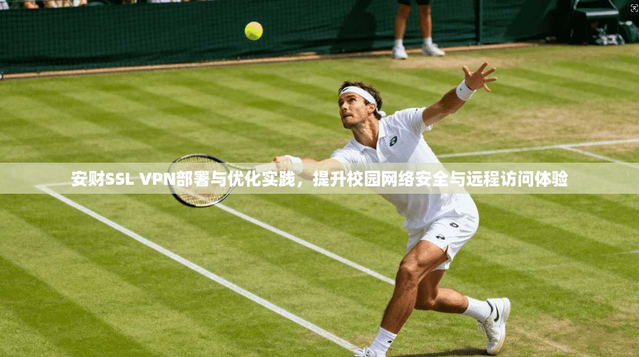 安财SSL VPN部署与优化实践，提升校园网络安全与远程访问体验  第1张