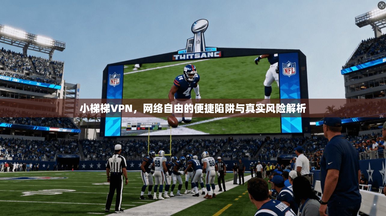 小梯梯VPN，网络自由的便捷陷阱与真实风险解析  第1张
