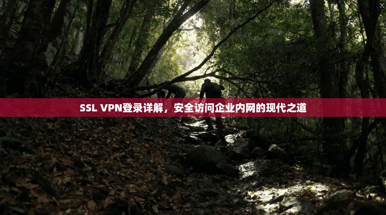 SSL VPN登录详解，安全访问企业内网的现代之道  第1张