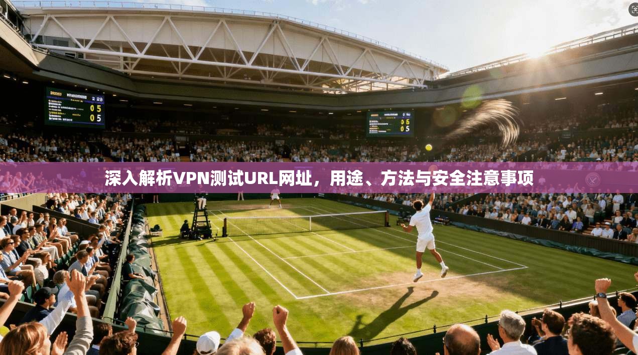 深入解析VPN测试URL网址，用途、方法与安全注意事项  第1张