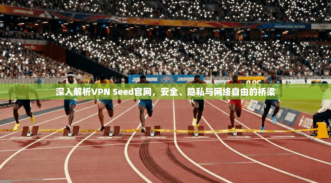深入解析VPN Seed官网,安全、隐私与网络自由的桥梁 第1张 深入解析VPN Seed官网,安全、隐私与网络自由的桥梁 第1张