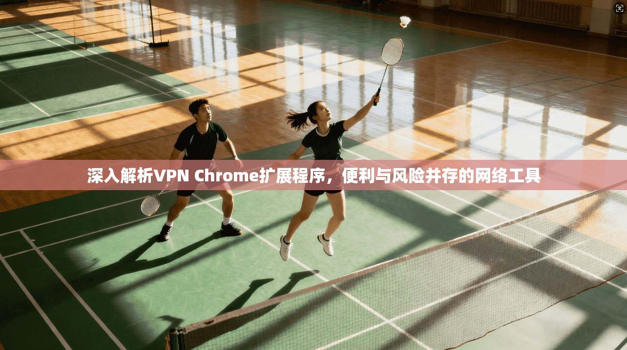 深入解析VPN Chrome扩展程序，便利与风险并存的网络工具  第1张