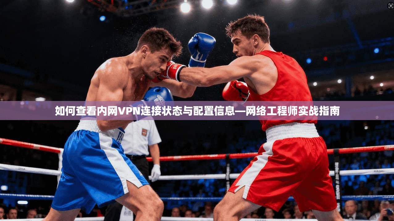 如何查看内网VPN连接状态与配置信息—网络工程师实战指南  第1张