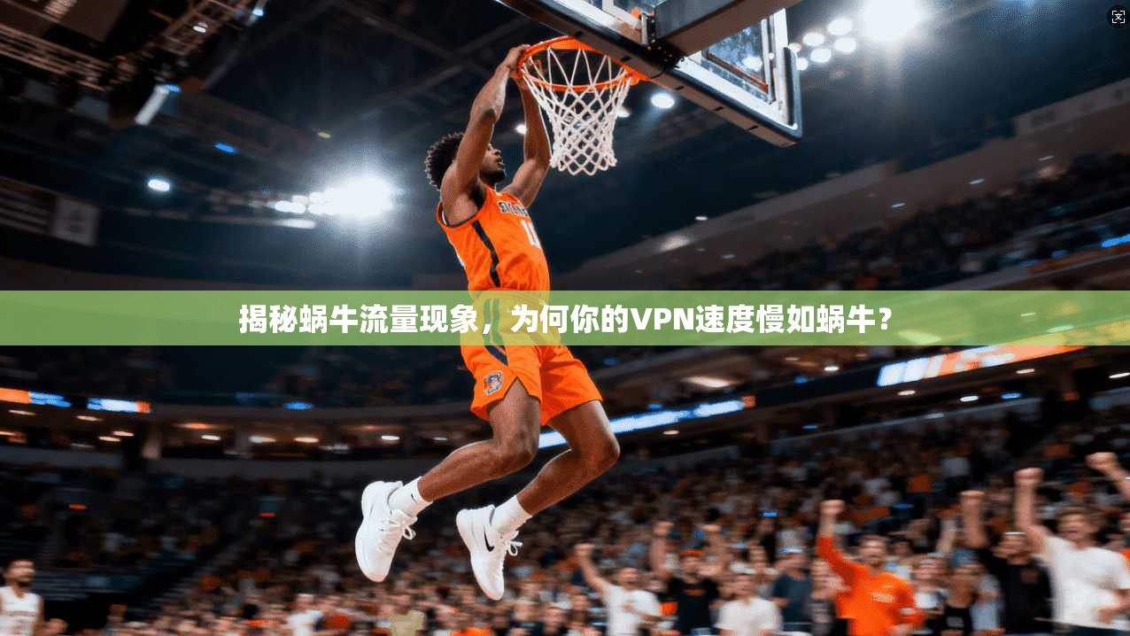 揭秘蜗牛流量现象，为何你的VPN速度慢如蜗牛？  第1张