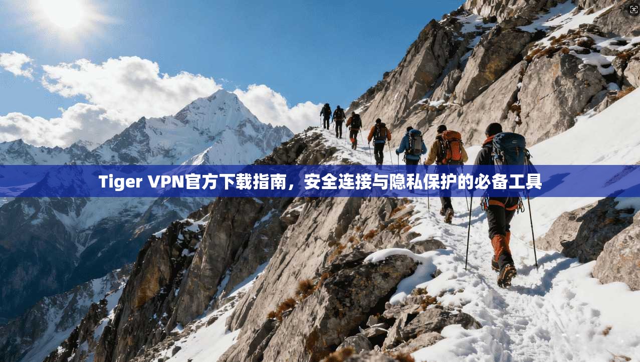 Tiger VPN官方下载指南,安全连接与隐私保护的必备工具 第1张 Tiger VPN官方下载指南,安全连接与隐私保护的必备工具 第1张