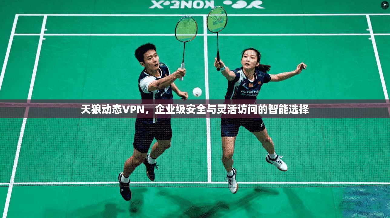 天狼动态VPN,企业级安全与灵活访问的智能选择 第1张 天狼动态VPN,企业级安全与灵活访问的智能选择 第1张