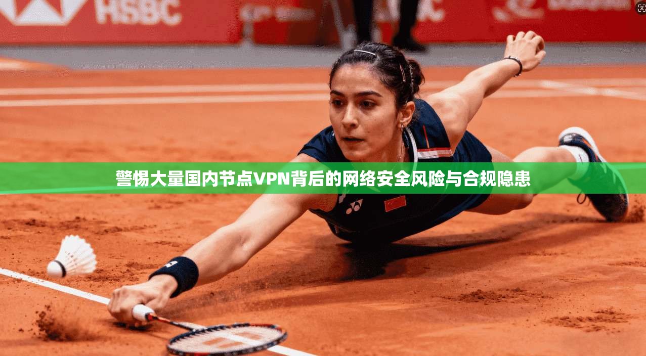 警惕大量国内节点VPN背后的网络安全风险与合规隐患 第1张 警惕大量国内节点VPN背后的网络安全风险与合规隐患 第1张