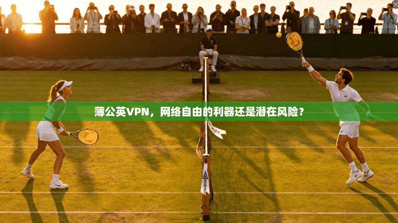 薄公英VPN,网络自由的利器还是潜在风险? 第1张 薄公英VPN,网络自由的利器还是潜在风险? 第1张