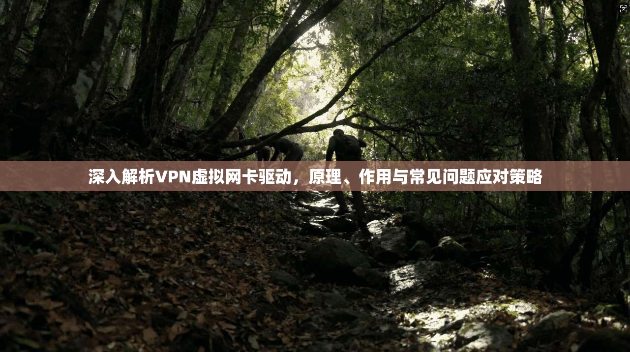 深入解析VPN虚拟网卡驱动，原理、作用与常见问题应对策略  第1张