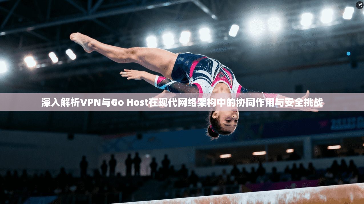 深入解析VPN与Go Host在现代网络架构中的协同作用与安全挑战 第1张 深入解析VPN与Go Host在现代网络架构中的协同作用与安全挑战 第1张