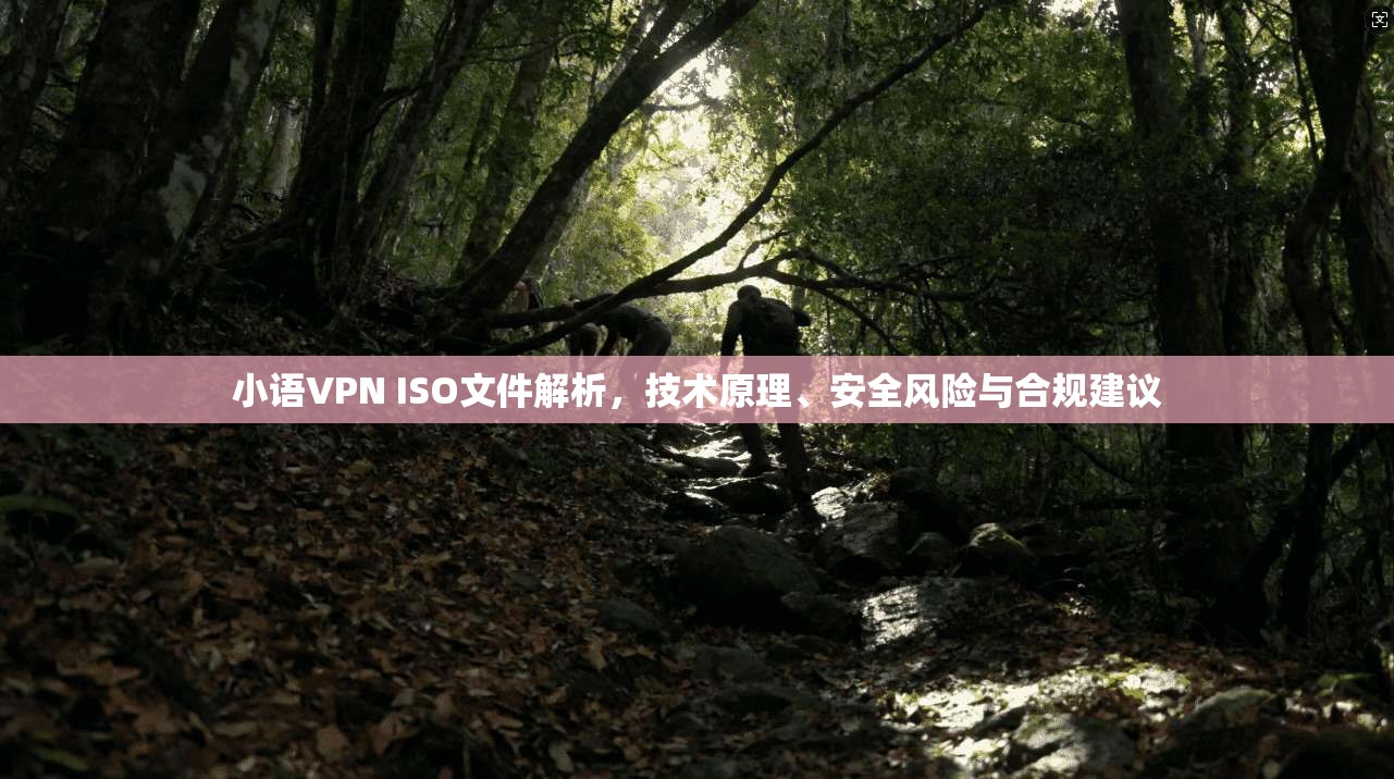 小语VPN ISO文件解析,技术原理、安全风险与合规建议 第1张 小语VPN ISO文件解析,技术原理、安全风险与合规建议 第1张