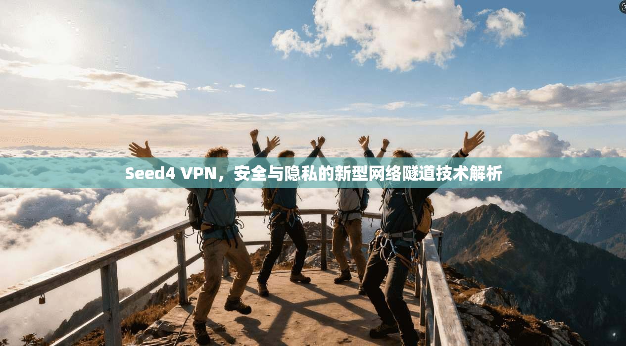Seed4 VPN,安全与隐私的新型网络隧道技术解析 第1张 Seed4 VPN,安全与隐私的新型网络隧道技术解析 第1张