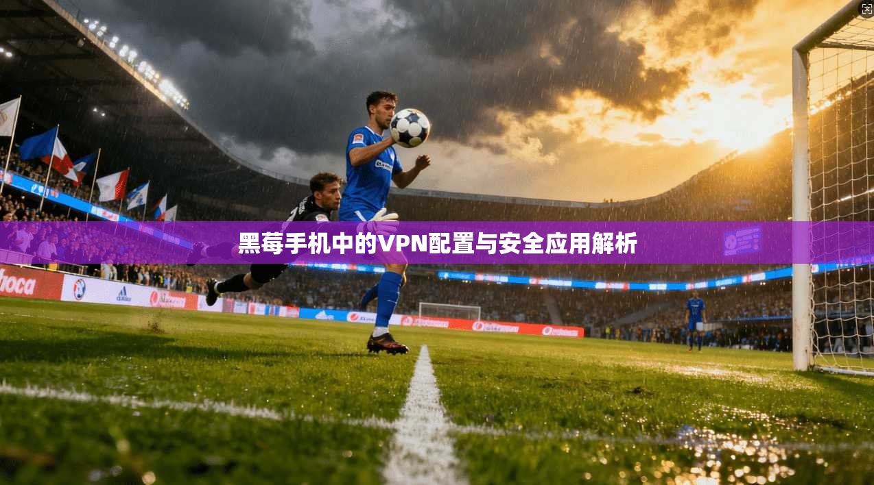 黑莓手机中的VPN配置与安全应用解析  第1张