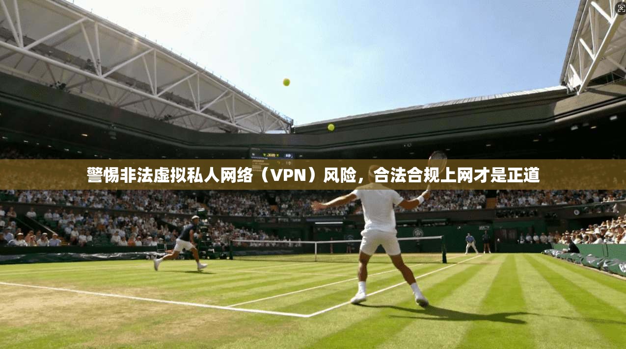警惕非法虚拟私人网络（VPN）风险，合法合规上网才是正道  第1张