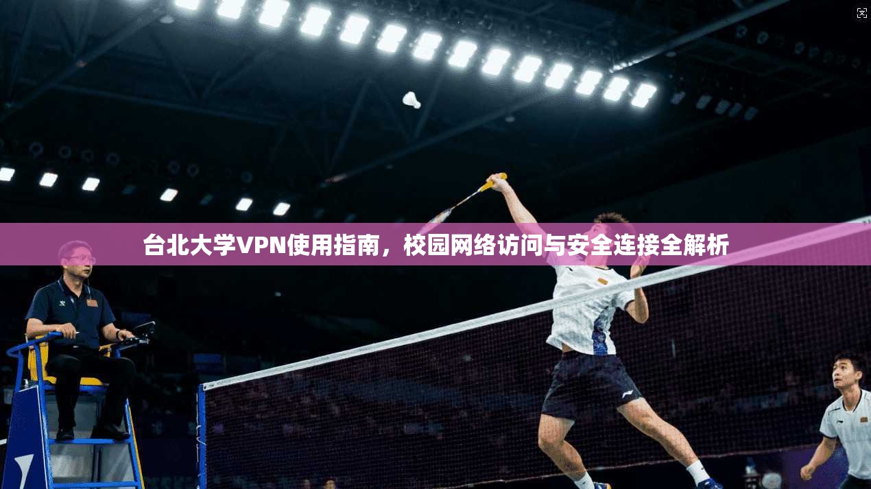 台北大学VPN使用指南,校园网络访问与安全连接全解析 第1张 台北大学VPN使用指南,校园网络访问与安全连接全解析 第1张