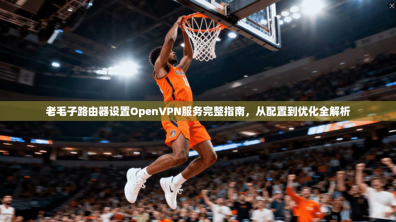 老毛子路由器设置OpenVPN服务完整指南,从配置到优化全解析 第1张 老毛子路由器设置OpenVPN服务完整指南,从配置到优化全解析 第1张