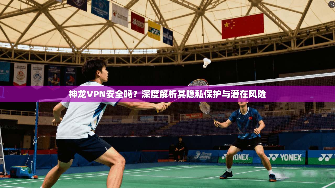 神龙VPN安全吗?深度解析其隐私保护与潜在风险 第1张 神龙VPN安全吗?深度解析其隐私保护与潜在风险 第1张