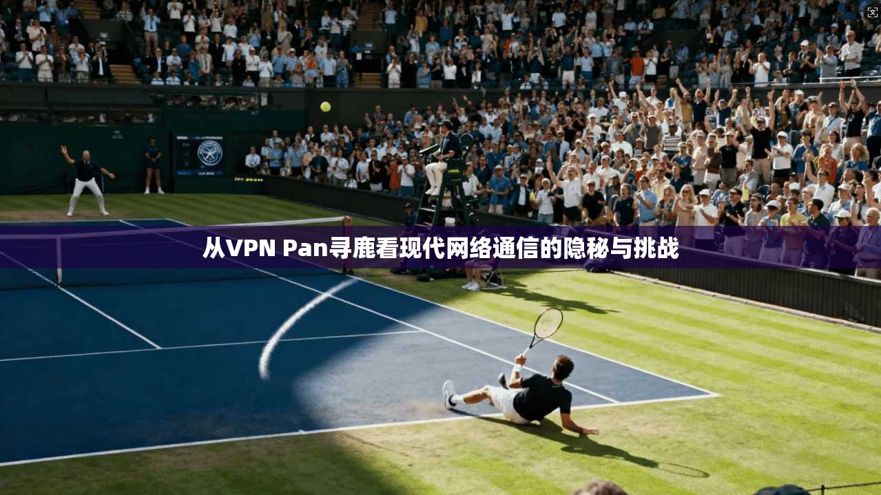 从VPN Pan寻鹿看现代网络通信的隐秘与挑战  第1张