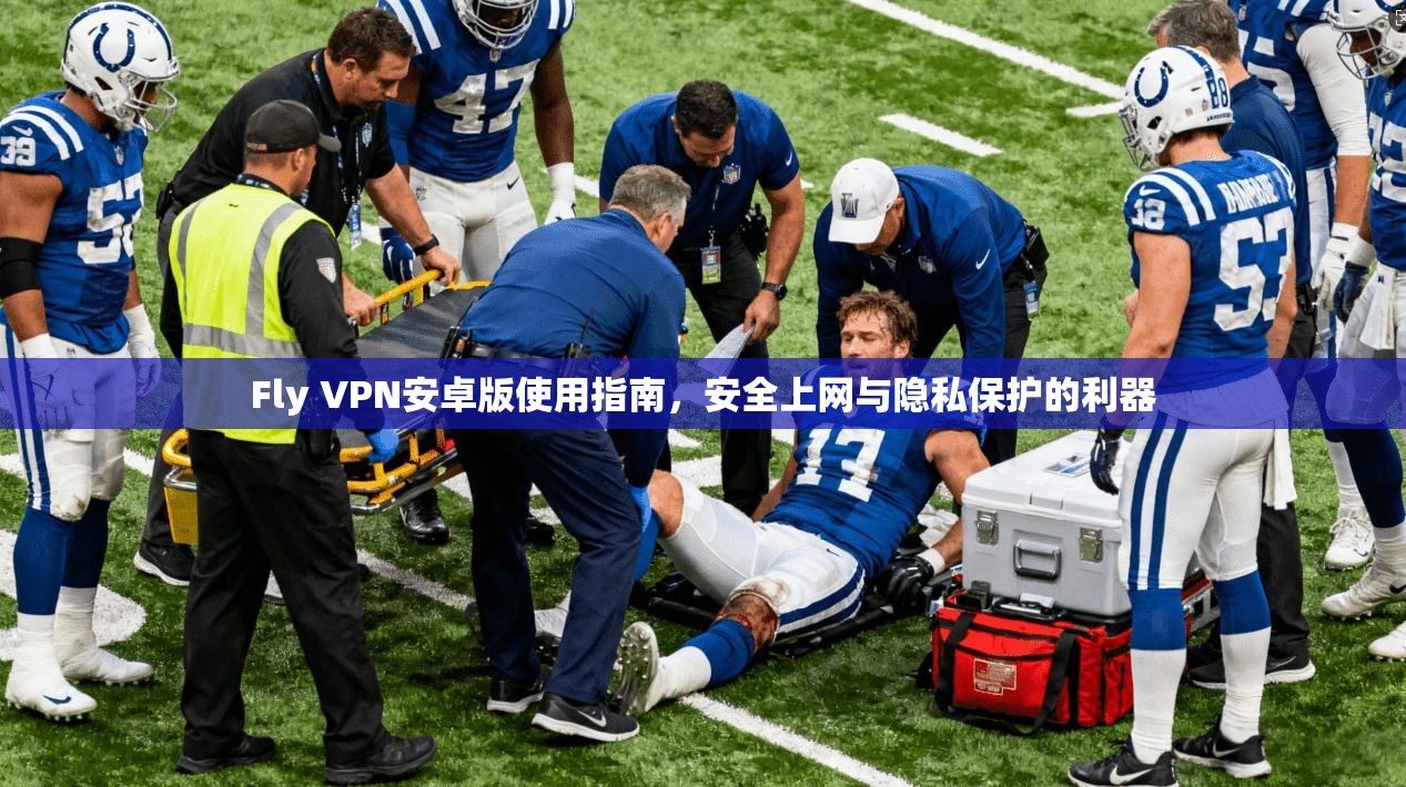 Fly VPN安卓版使用指南，安全上网与隐私保护的利器  第1张